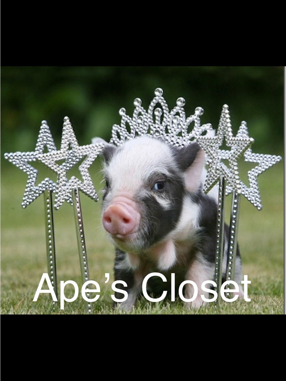 🐷 Bookmark My Closet 🐷